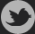 footer twiter